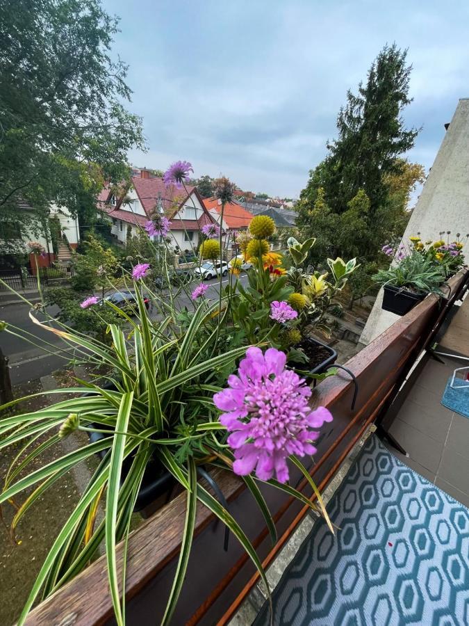 Greatforest Rosehill 1 Apartman Debrecen Exterior foto